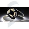 LED TAPE, 60 U/M SMD3528 - DIMMABLE
