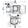 SELF PRIMING PUMPS