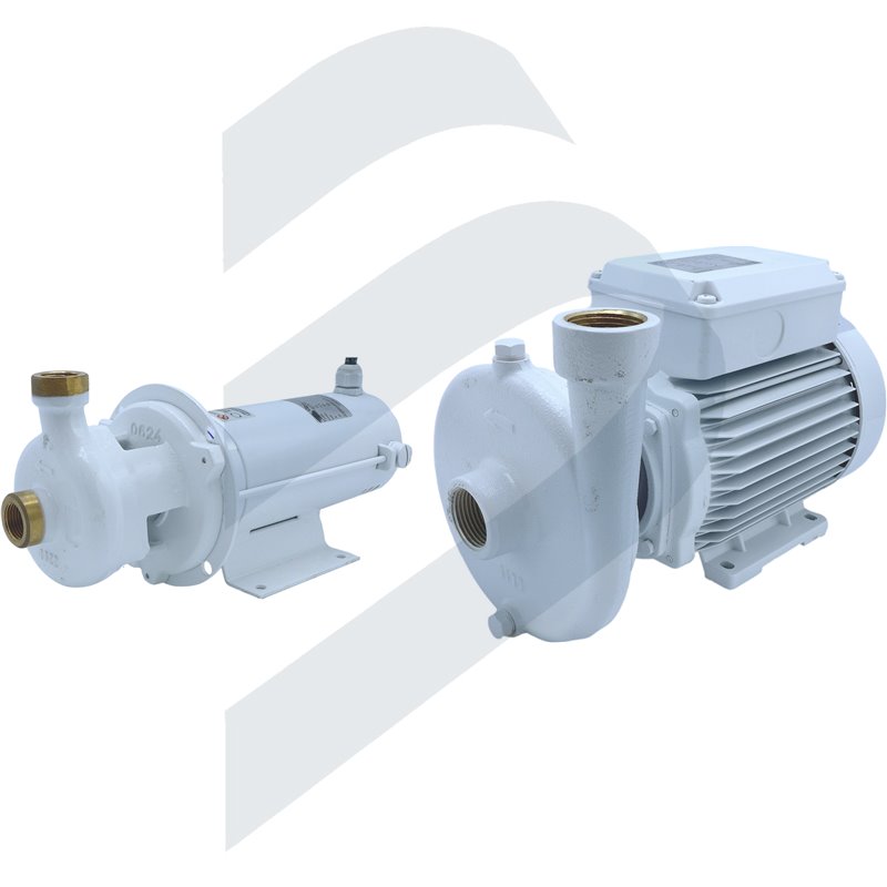 CENTRIFUGAL PUMPS B-CE