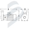 CENTRIFUGAL PUMPS B-CE