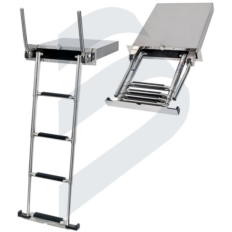 TELESCOPIC LADDER WITH HANDLES