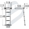 TELESCOPIC LADDER WITH HANDLES