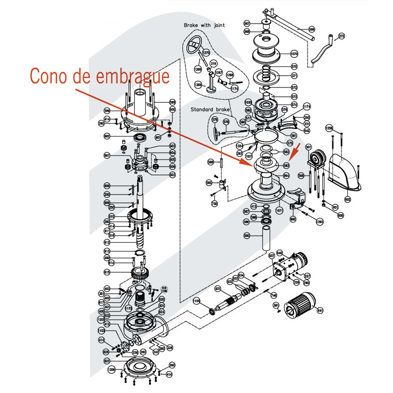 CONE CLUTCH ERCOLE V. #583