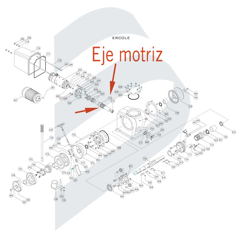 EJE MOTRIZ ERCOLE H. 715