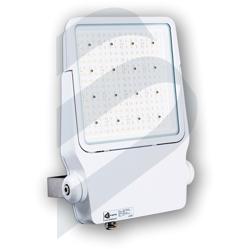 MARINE FLOODLIGHTS FLNG 100W-AC