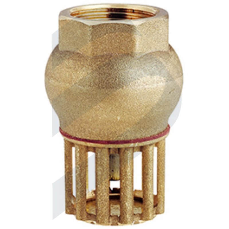 FOOT VALVE THREADED 1 INCH