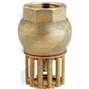 FOOT VALVE THREADED 1 INCH