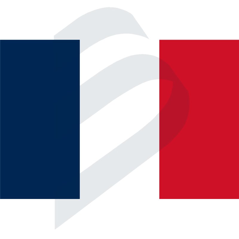 FLAG OF FRANCE