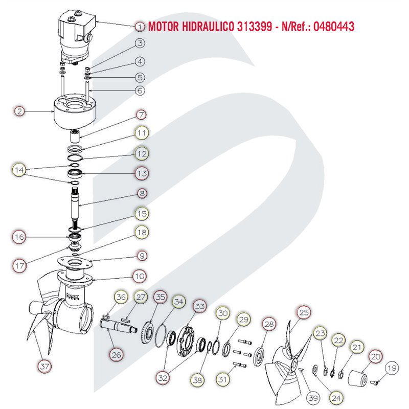 HYDRAULIC MOTOR M2-40CC