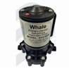 BOMBA DE PRESION DE AGUA EVENFLOW 600