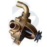 PULLEY DRIVEN PUMP NAUTIC 030