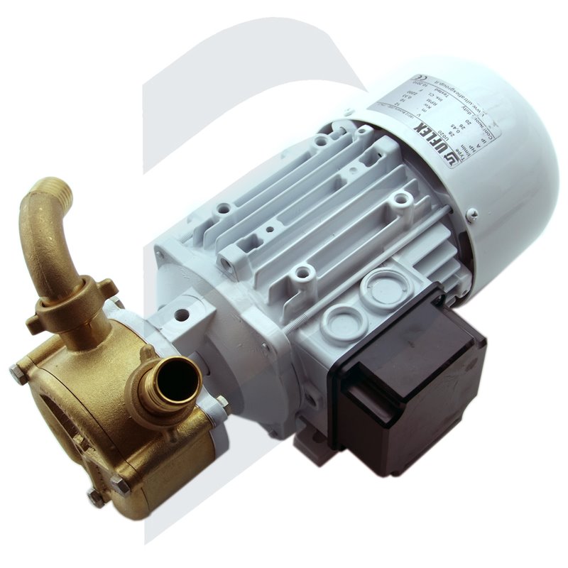 SELF PRIMING PUMP 020 110V