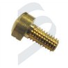 BRONZE SCREW