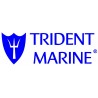 TRIDENT